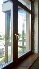 Доступная цена на окна из древесины